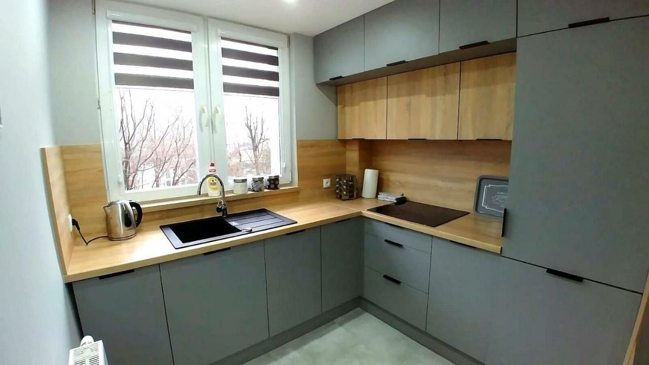 Gray Apartment Bielsko-Biala Bagian luar foto