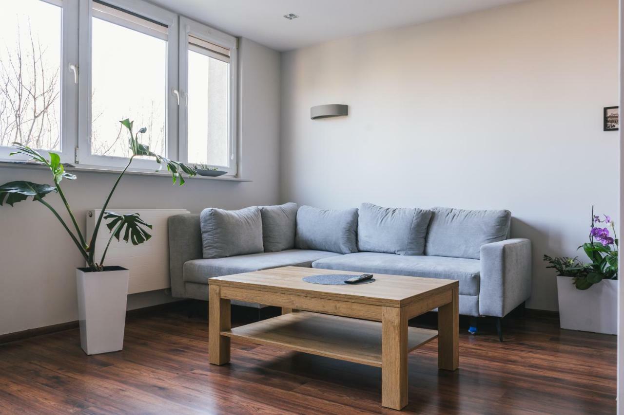 Gray Apartment Bielsko-Biala Bagian luar foto